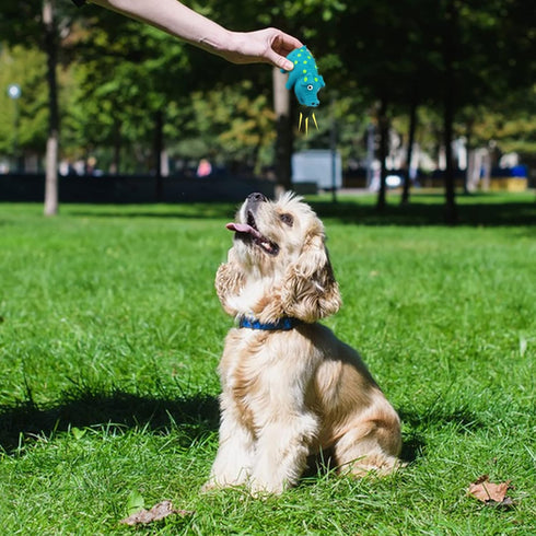 WishLotus Natural Latex Dog Squeaky Toy, Pig-Shaped Dog Chew Toys for Teeth Cleaning, Mini Puppy Chew Toy for Small Dogs to Relieve Stress and Red...