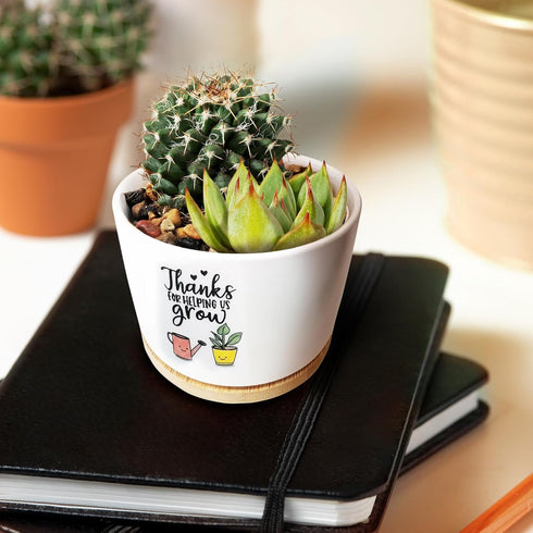 Funny Succulents Plant Pots, Small Ceramic Cactus Planter Pot for Indoor Outdoor, Cute White Garden Succulent Pots with Drainage Hole, Fun Pots fo...