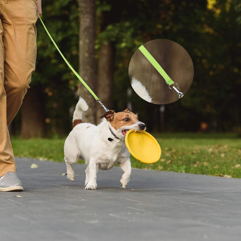 18 Pieces Slip Leads Dog Leash Pet Rope with O-Ring 6 Feet for Small Medium Large Dogs Grooming Shelter Rescues Walking Training (Neon Green, Oran...