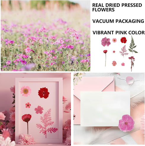 35 Pcs Dried Pressed Flowers for Resin, Pink Real Pressed Flowers Bulk Natural Herbs Kit for Scrapbooking DIY Art Crafts, Epoxy Resin Jewelry Mold...