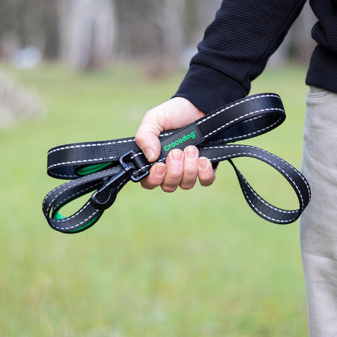 6 Foot Long Dog Leash with 2 Padded Handles - for Large and Medium Dogs - Walking Lead with Reflective Stitching and Traffic Handle for Control an...