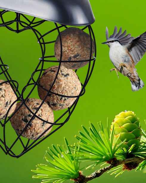 Hanging Wild Bird Feeder, Suet Ball Bird Feed Dispenser, Suet Ball Holder for Outside, Fat Ball Feeder, Heart Shaped...