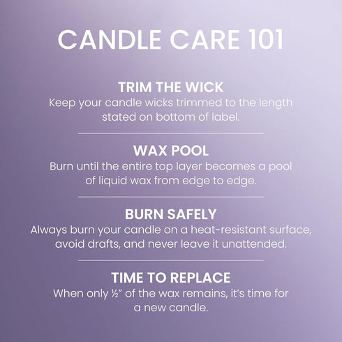 Yankee Candle Large Tumbler Scented Candle with up to 80 Hour Burn Time, Premium Plant Wax Blend for Consistent Burn, 20 oz Tumbler Candle with Ro...