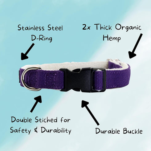 Pawsitive Hemp Dog Collar - Green Dog Collar - We Donate a Collar for Every Collar Sold. Help a shelter in Need! Solid Color Adjustable Collar Gre...