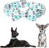 Easter Dog Collar with Bow Tie,New Egg male Dog Collar with Safety Metal Buckle Adjustable Puppy Collars for Small Medium Large Boy & Girl Dog,L-N...