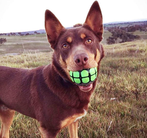 Dog Balls Toys Squeaky Fetch - Rubber Funny Ball Gifts for Large Medium Dogs (Variety Pack)...