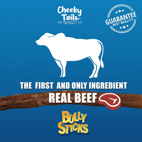Bully Sticks for Small Dogs and Puppies (3 Pieces) - 6" - Rawhide Free Chews Made in USA - High Collagen, Single Ingredient 100% Beef Dog Treats...