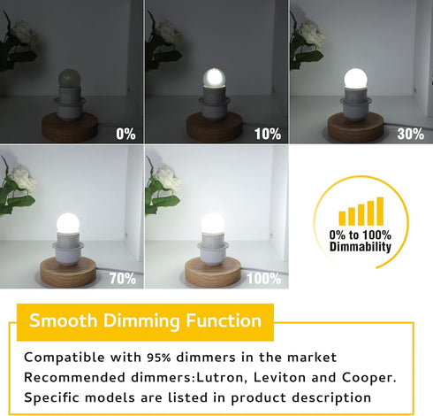 Dimmable 3W LED Bulb Equivalent 25 Watt Light Bulbs, Daylight 5000K, E26 Medium Base, Frosted, 300 Lumens, CRI 90+, G40 3 Watt Edison Bulbs for Ni...