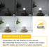 Dimmable 3W LED Bulb Equivalent 25 Watt Light Bulbs, Daylight 5000K, E26 Medium Base, Frosted, 300 Lumens, CRI 90+, G40 3 Watt Edison Bulbs for Ni...