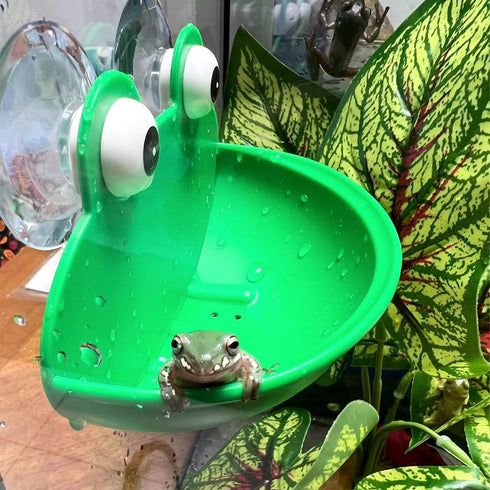 Frog Habitat with Suction Cup, 2 Pcs Cute Fish Tank Accessories Frog Dish Holder Frog Decor Frog Terrarium Decor for Tree Frog Toad Tadpole, Plast...