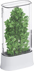 vacane Herb Keeper for Refrigerator, Fresh Herb Saver Herb Storage Containers, Cilantro Container for Fridge Asparagus Container, Dishwasher Safe...