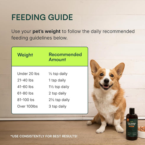 Wuffes Wild Alaskan Salmon Oil for Dogs - Natural EPA & DHA Fatty Acids and Omega 3 for Canines, Healthy Skin and Coat, Joint Support, Reduced All...