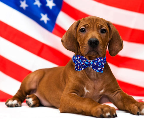 Lionheart glory American Flag Dog Collar 4 of July Dog Bow Collar Independence Day Heavy Duty Adjustable Patriotic Dog Collar with Bowtie for Larg...