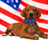 Lionheart glory American Flag Dog Collar 4 of July Dog Bow Collar Independence Day Heavy Duty Adjustable Patriotic Dog Collar with Bowtie for Larg...