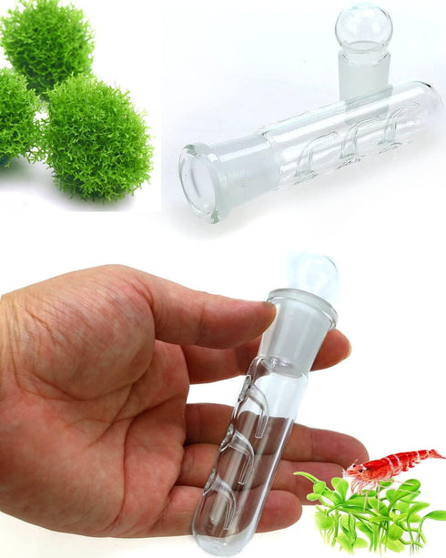 Planaria Trap Crystal Red Shrimp Tank Aquarium Bristle Worm Catcher, Shrimp Dwarf Shrimp Ghost Shrimp Live Freshwater Cleaning Supplies Clear Glas...