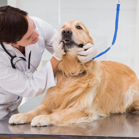 Dog Grooming Loops Leash, 3 Pack Dog Cat Safety Rope for Dog Bathtub Adjustable Fixed Groomers Helper Grooming Loop Pet Bathing Supplies...