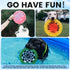 HOWGO Flyer Dog Toy, Dog Flying Disc, Flyer Dog Toy, Best for Flight, Lightweight, Durable and Water Resistant, 9.84'' (Pink)...