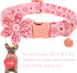Valentine’s Day Dog Collar with Flower, Valentine Flower Collar Puppy Girl Dog or Cat, Valentine’s Day & Wedding Gift Pet Collar, Cotton Plaid Col...