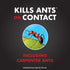 15 Oz Ant Shield Insect Killer Aerosol...