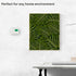 Lux Pro P111 Non-Programmable Thermostat; 1 Heat, 1 Cool; Batteries Included...