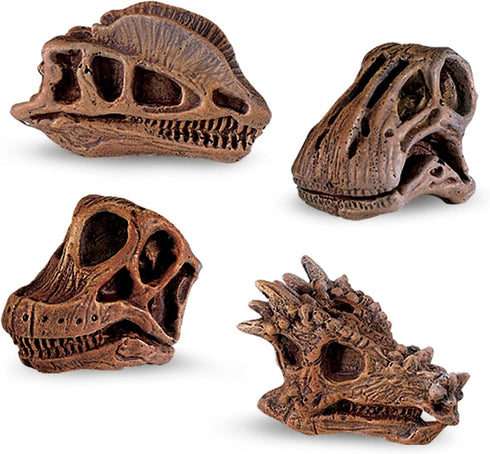 Safari Ltd Dinosaur Skulls TOOB - 11 Mini Figurines Including Velociraptor, Brachiosaurus, Oviraptor, Triceratops, Tyrannosaurus Rex and More - Ed...