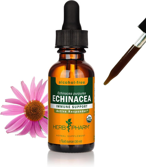 Herb Pharm Organic Echinacea Root Extract, Alcohol-Free: Immune System Support for All Seasons, Fast-Acting Echinacea Plant Supplement, Non-GMO, V...
