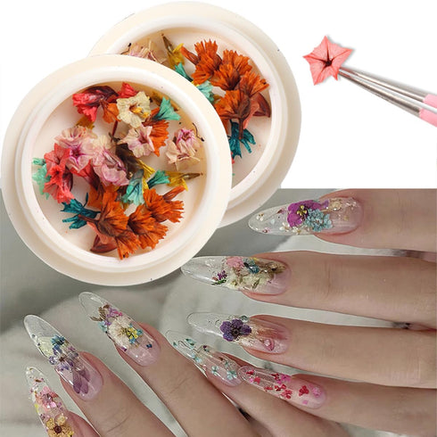 2 Boxes Dried Flower Nail Art Stickers Set Colorful Floral Nail Decals Spring Dry Flower Nail Stickers 3D Real Dried Flowers Nail Designs Stickers...