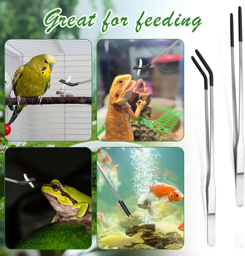 4 Pcs Extra Long Stainless Steel Reptile Feeding Tongs Rubber Tip Bearded Dragon Aquarium Straight and Curved Long Tweezers Terrarium Feeder Tool ...