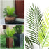 Artificial Palm Plants, Plastic Tropical Palm Tree Shrubs Fake Greenery Decor for Outdoor Indoor Home Garden Verandah Party Wedding Table Centerpi...