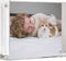 Canetti Original Magnet Picture Frame - Crystal Clear Acrylic Glass Table Top Photo Frame...
