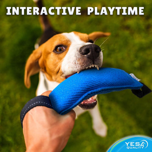 Dog Bite Tug Toy (11.8"x3.5"), Durable Blue Pull Toy w/ 2 Soft & Strong Black Handles, Tough Nylon Bite Pillow for Small to Medium Dogs, Ideal for...