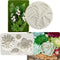 2PCS Succulent Fondant Mold Fern Leaf Fondant Mold Silicone Polymer Clay Molds Cake Decoration Molds Gumpaste 3D Silicone Molds for Cupcakes, Choc...