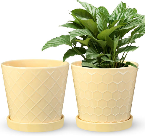 EFISPSS Ceramic Plant Pots, 6Inch Pots for Indoor Plants Set of 2, Planters with Drainage Holes and Ceramic Tray, Flower Pots Desktop Office Windo...