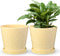 EFISPSS Ceramic Plant Pots, 6Inch Pots for Indoor Plants Set of 2, Planters with Drainage Holes and Ceramic Tray, Flower Pots Desktop Office Windo...