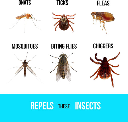 BUGGINS IV Performance - Insect Repellent - Mosquitoes, Gnats, Ticks, and Biting Flies, 25% DEET, Powdery Scent - 6 oz Continuous Spray Can...