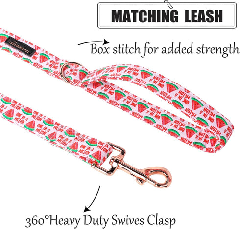 ARING PET Summer Dog Leash, Pink Watermelon Dog Leashes Matching Dog Collars, Cotton Handmade Walking Dog Leash for Small Medium Large Dogs and Ca...