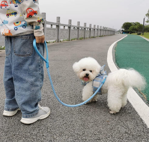 Rope Dog Leash - 2/3/4/6/10 Foot Reflective Dog Leash- Strong Nylon Braided Heavy Duty Dog Training Leash for Large and Medium Small Dogs Walking ...