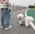 Rope Dog Leash - 2/3/4/6/10 Foot Reflective Dog Leash- Strong Nylon Braided Heavy Duty Dog Training Leash for Large and Medium Small Dogs Walking ...