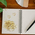 100pcs Mini Gold Heart Paper Clips, Small Cute Love Shaped Paper Clips Stainless Steel Metal Paper Clips Bookmarks for Document Note Sorting Organ...