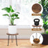 Wooden Plant Stand, Indoor Modern Wood Plant Riser Decorative Corner 7.8" Round Plant Stool Planter Short Stand Flower Pot Holder for Home Garden ...
