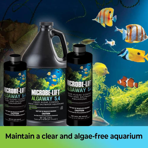 MICROBE-LIFT ALGAA08 ALGAWAY 5.4 Algae Control for Fresh and Salt Water Home Aquariums, 8 Ounces...