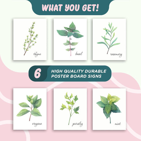 L&O Goods Kitchen Herb Decor Posters & Prints | Home & Kitchen Sage Green Flower Wall Decor | Six 8x10 Posters | Leaves Boho Decor | Artwork Pictu...