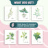 L&O Goods Kitchen Herb Decor Posters & Prints | Home & Kitchen Sage Green Flower Wall Decor | Six 8x10 Posters | Leaves Boho Decor | Artwork Pictu...