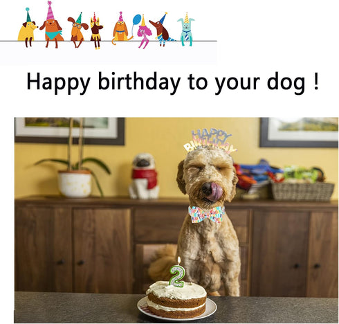 Unqiue style paws Birthday Dog Collar, Soft and Cute Dog Bow Tie, Durable Pet Collar with Bow Adjustable Bow Dog Collar for Medium Dogs...
