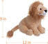 Apricot Lamb Toys Plush Lion Stuffed Animal Soft Cuddly Perfect for Girls Boys (Yellow-Lion, 10 Inches)...
