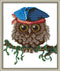 Cross Stitch Kits, Awesocrafts Owl Hat Blue Cute Bird Spring Easy Patterns Cross Stitching Embroidery Kit Supplies, Stamped or Counted (Stamped)...