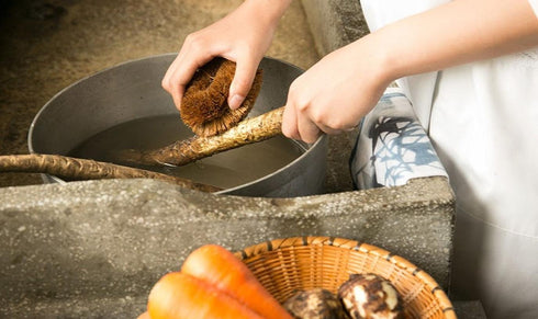 KAMENOKO TAWASHI" Vegetable Scrub Brush × 2 Packs...