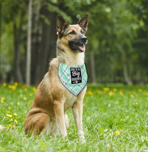 Dog Bandana, Soon to Big Brother Dog Bandana, Dog Scarf Classical Plaid Printing, Dog Scarf Accessories, Dog Bandana Pet Scarf, Pet Plaid Scarf Ge...