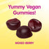 Webber Naturals Sesame Street Healthy Tummy Probiotic, 1 Billion Active Cells, 50 Gummies, Mixed Berry Flavor, Vegan...