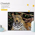 2 Pack Animal Scratch Art Rainbow Painting Paper, Engraving Art & Craft Sets, Creative foil Scratch Art Toys Gift, DIY Sketch Card Scratchboard fo...